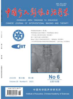 中国介入影像与治疗学期刊